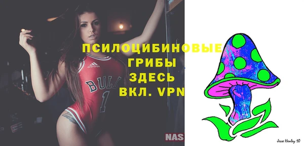 спайс Надым