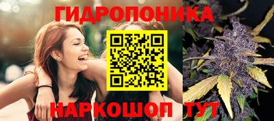 ешки Бийск