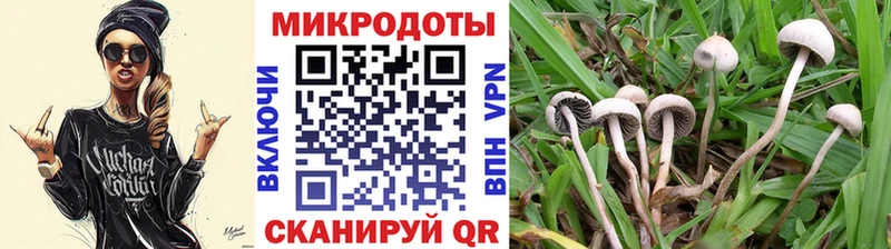 MEGA зеркало  Ялуторовск  Галлюциногенные грибы GOLDEN TEACHER 