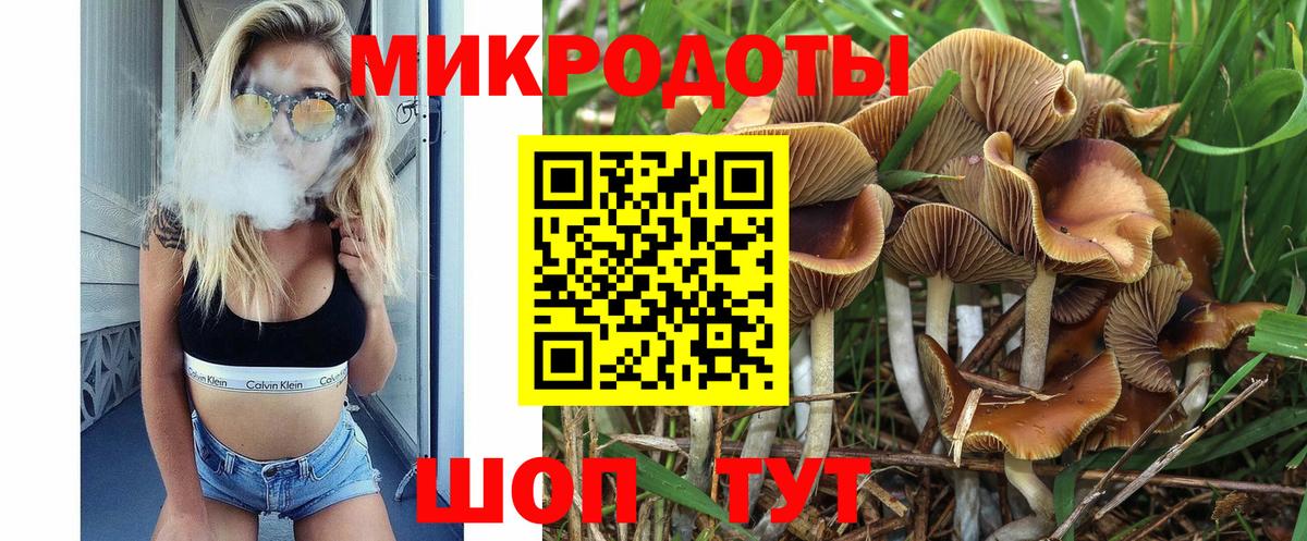 Псилоцибиновые грибы ЛСД  Вход с VPN  купить  цена  Ялуторовск 