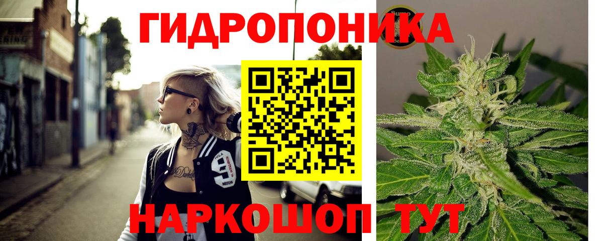Ялуторовск  Шишки марихуана VHQ  Шишки марихуана тримм  Конопля THC 21%  Каннабис Bruce Banner  Вход с VPN 